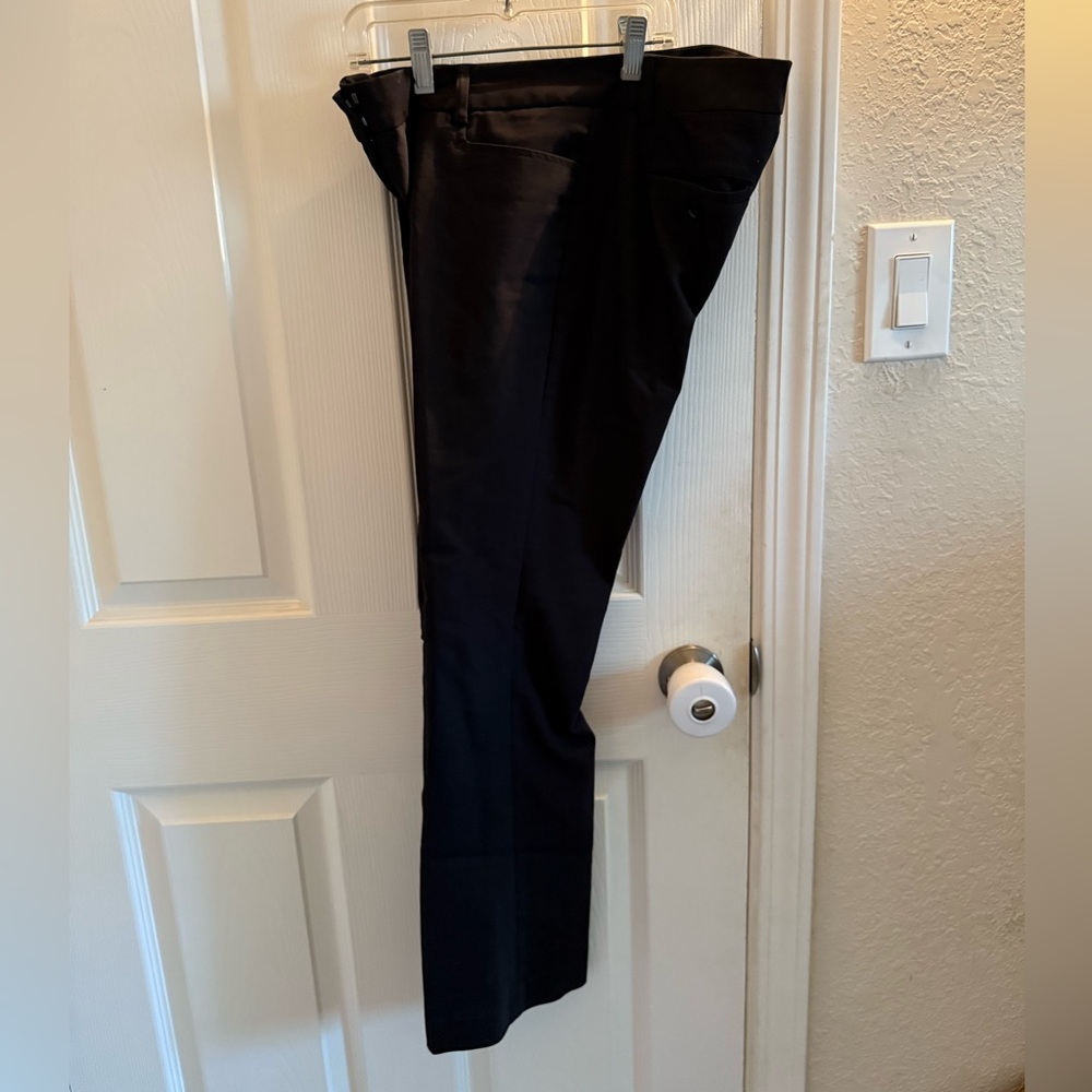 Express dress pants